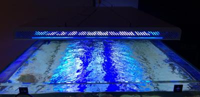 IMG_5419.JPG