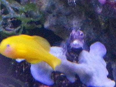 20161126_145920.jpg