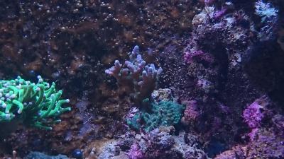 2016-11-12 10-13-47.JPG