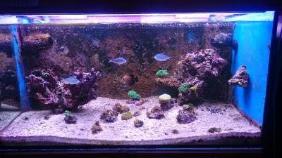 2016-11-04 10-35-07.JPG