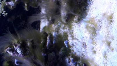 20171105_151855.jpg