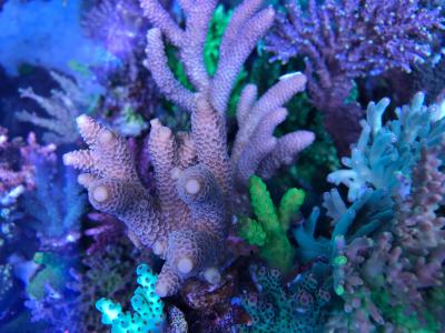 IMG_8832.JPG