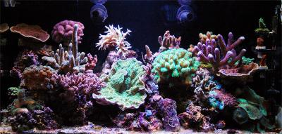 fts (1).jpg