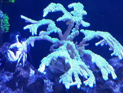 20171113_163155.jpg