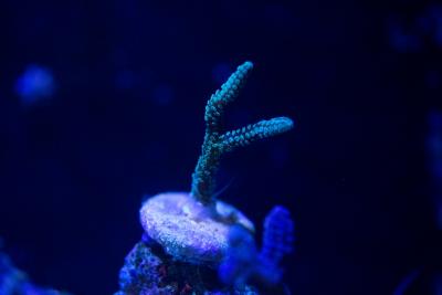 IMG_92691.jpg