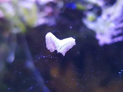 20171106_100141.jpg