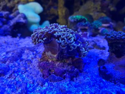 20171113_220448.jpg