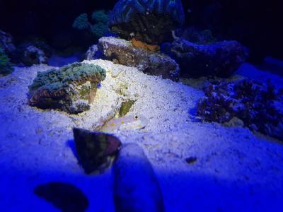 20171113_221814.jpg