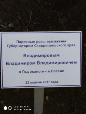 IMG-20181104-WA0000.jpg