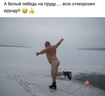 IMG_7423.PNG
