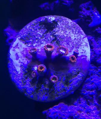 IMG_20181114_094011.jpg