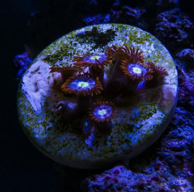 test2.jpg