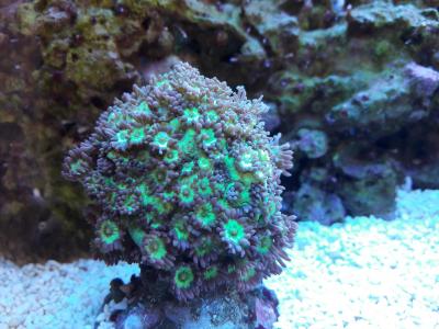20181101_150114.jpg