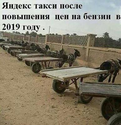 IMG-20181123-WA0002.jpg