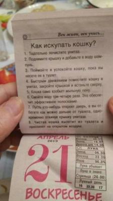 IMG-20181125-WA0009.jpg