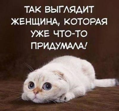 IMG_20181102_113803.jpg