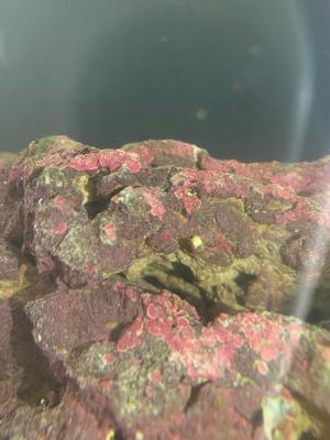 IMG-20181122-WA0003.jpg