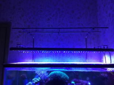 IMG_0071.jpeg