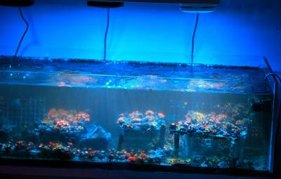 _MG_2040.JPG