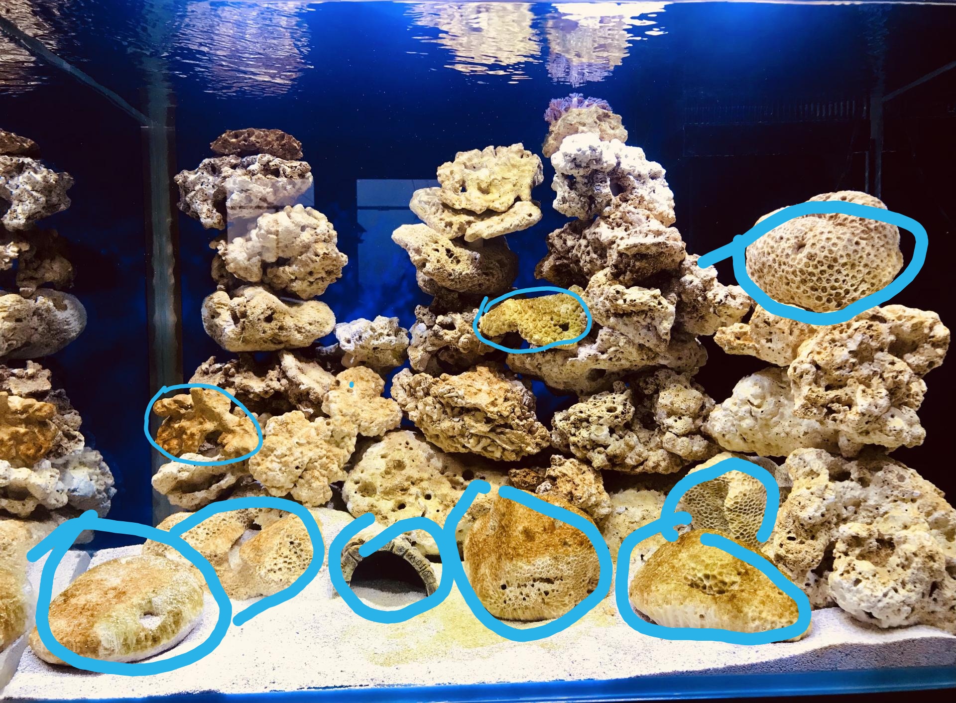 матрас из морских водорослей