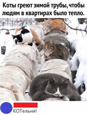 Котельня.jpg