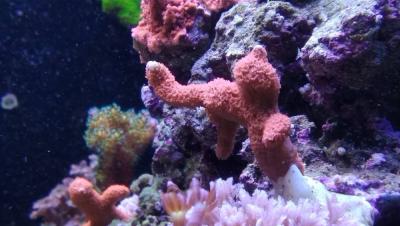 IMG_20201106_202414.jpg