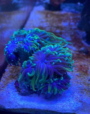 596C1078-4357-440F-BCB6-08113281CE2C.jpeg