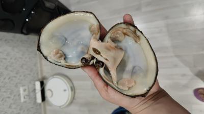 IMG_20221116_161419_136.jpg