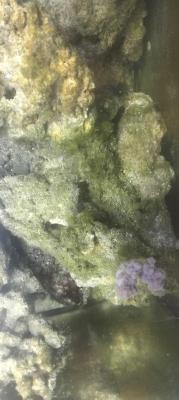 IMG20231125122225.jpg