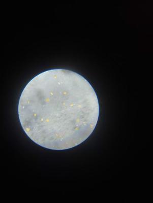 photo_2024-11-23_19-46-35 (3).jpg