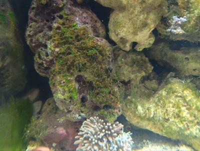 photo_2024-11-23_19-46-34 (2).jpg