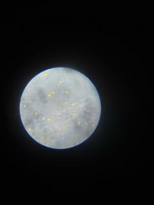 photo_2024-11-23_19-46-35 (2).jpg