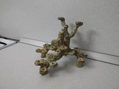 WhatsApp Image 2025-11-19 at 16.21.13.jpeg