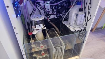 аквариум 2.jpg