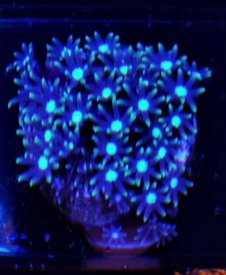 Снимок экрана 2025-11-20 223213.png