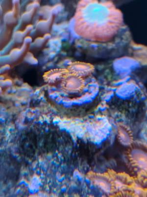 WhatsApp Image 2025-11-04 at 20.33.16.jpeg