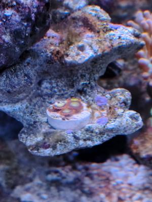 WhatsApp Image 2025-11-04 at 20.33.17.jpeg