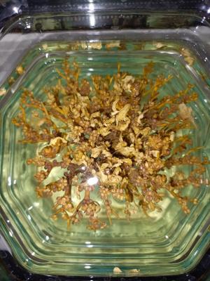 WhatsApp Image 2025-11-20 at 21.12.03.jpeg