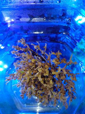 WhatsApp Image 2025-11-20 at 21.01.35.jpeg