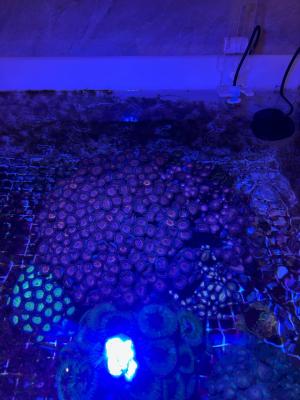 Изображение WhatsApp 2025-11-01 в 12.44.58_e3cf0948.jpg