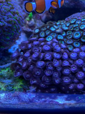 Изображение WhatsApp 2025-11-01 в 12.46.34_e845b669.jpg