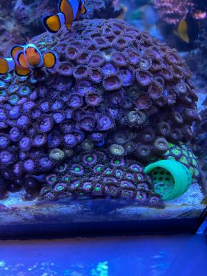 Изображение WhatsApp 2025-11-01 в 12.46.34_014b5b4d.jpg