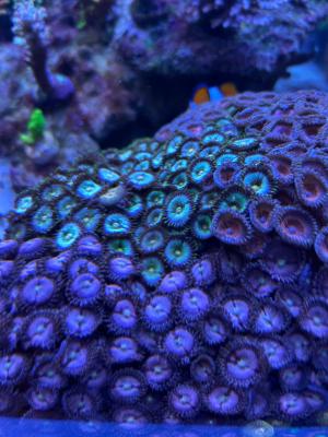 Изображение WhatsApp 2025-11-01 в 12.46.34_015f3dae.jpg