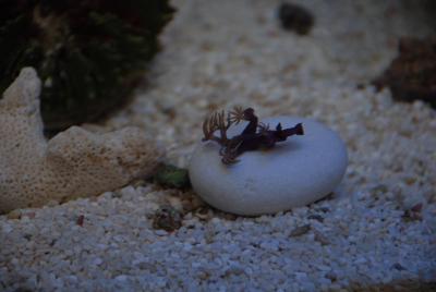 DSC_9534.JPG