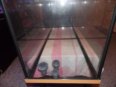 DSCN4242.JPG