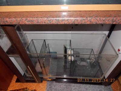 DSCN4216.JPG