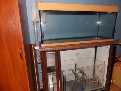 DSCN4215.JPG