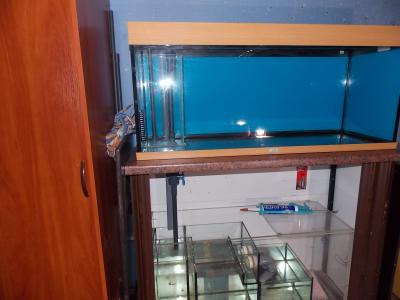 DSCN4244.JPG
