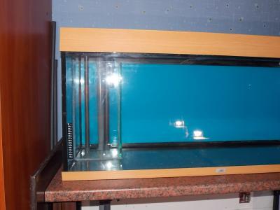 DSCN4246.JPG