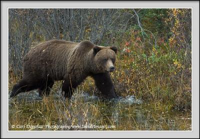 yukon_0906_066.jpg